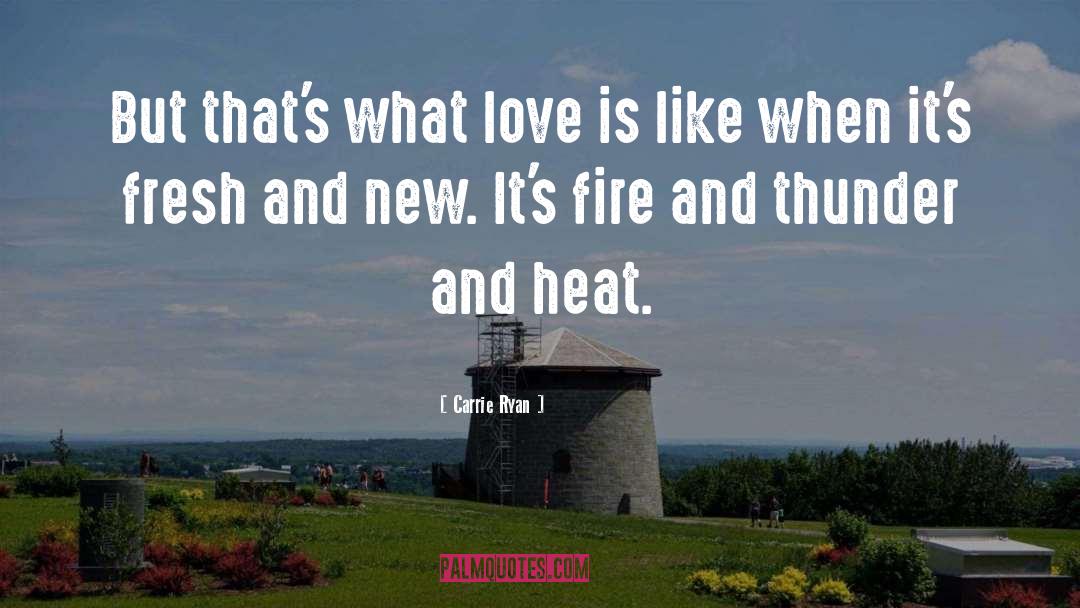 Carrie Ryan Quotes: But that's what love is
