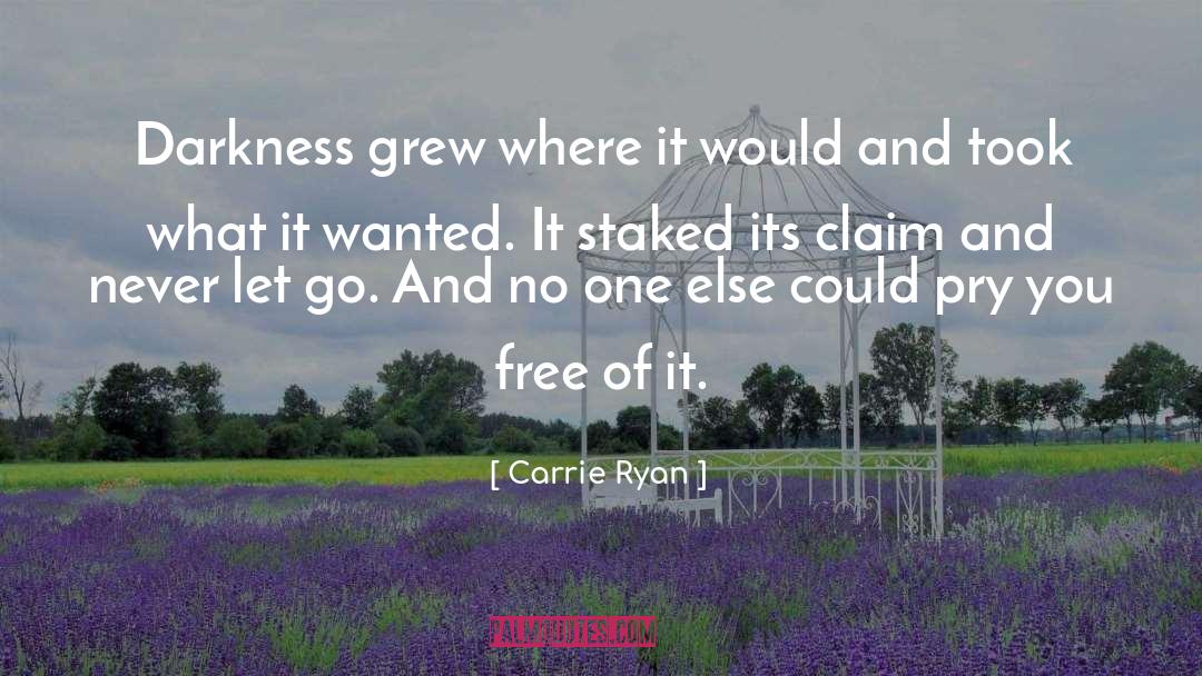 Carrie Ryan Quotes: Darkness grew where it would