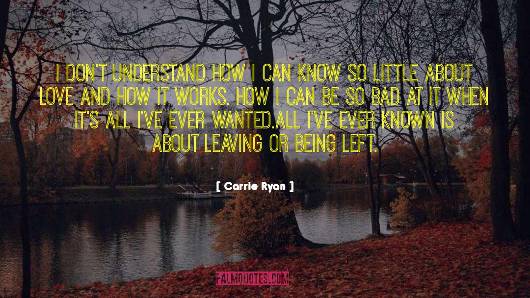 Carrie Ryan Quotes: I don't understand how I