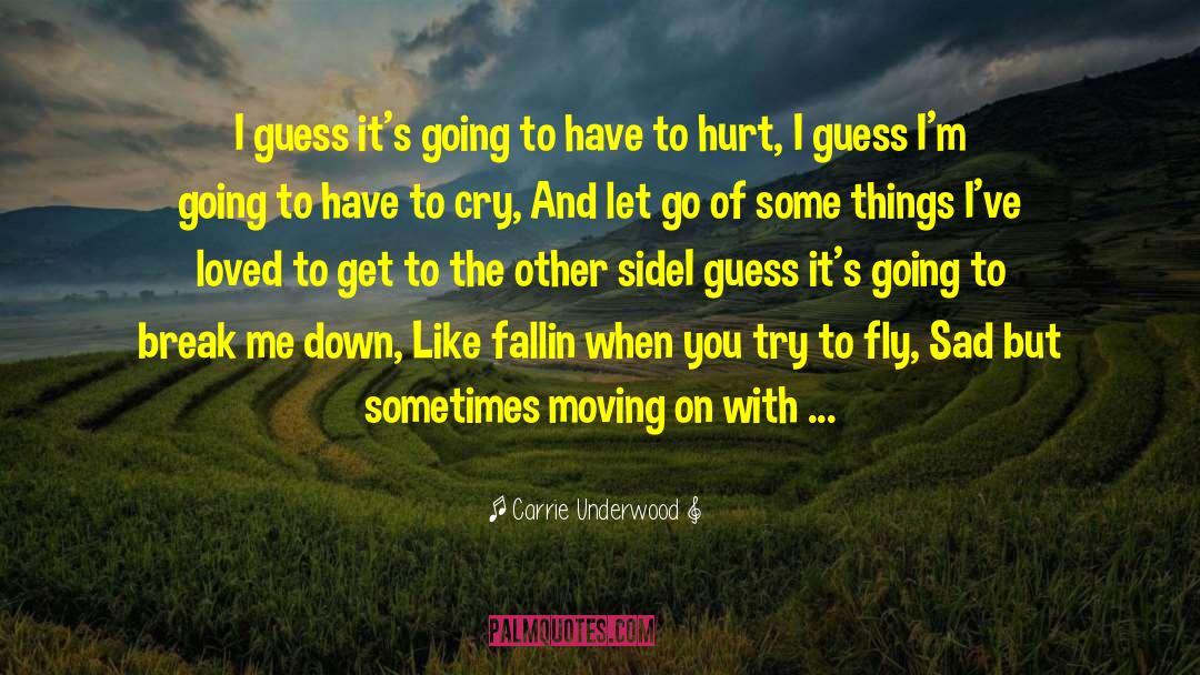 Carrie Underwood Quotes: I guess it's going to