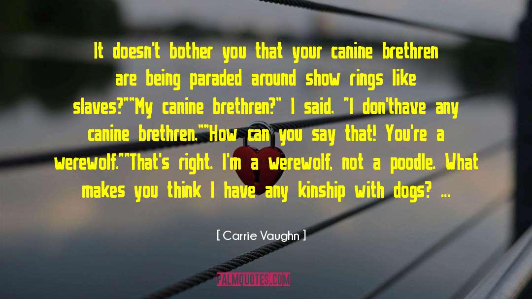 Carrie Vaughn Quotes: It doesn't bother you that