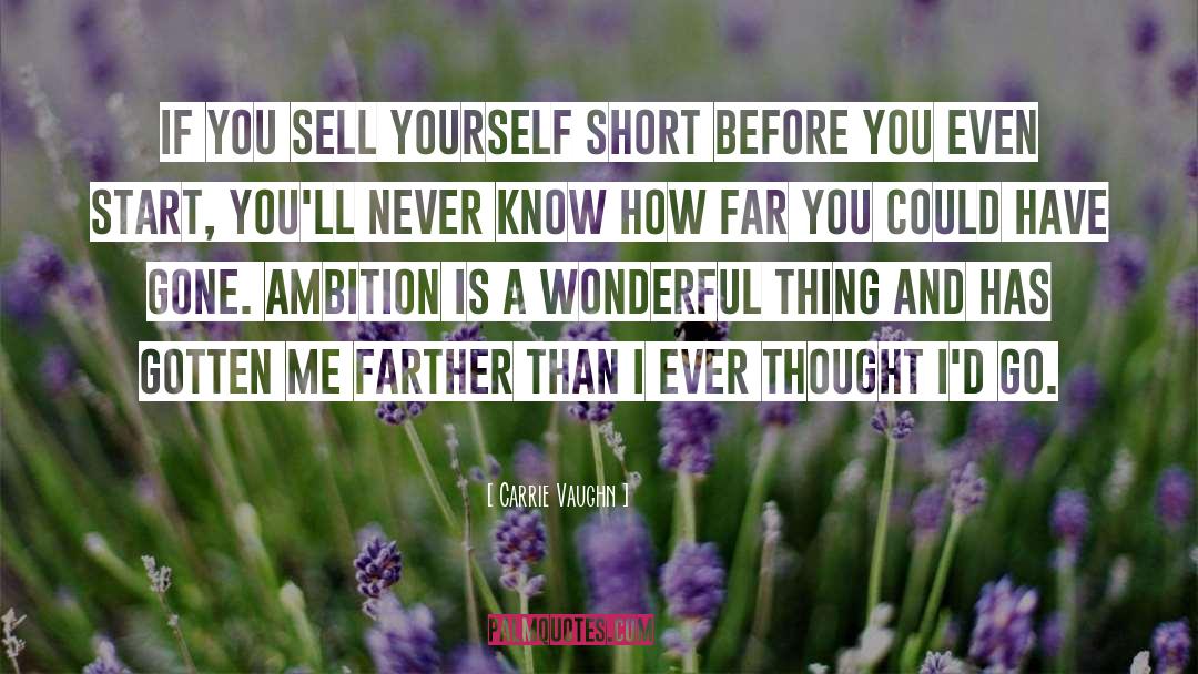 Carrie Vaughn Quotes: If you sell yourself short