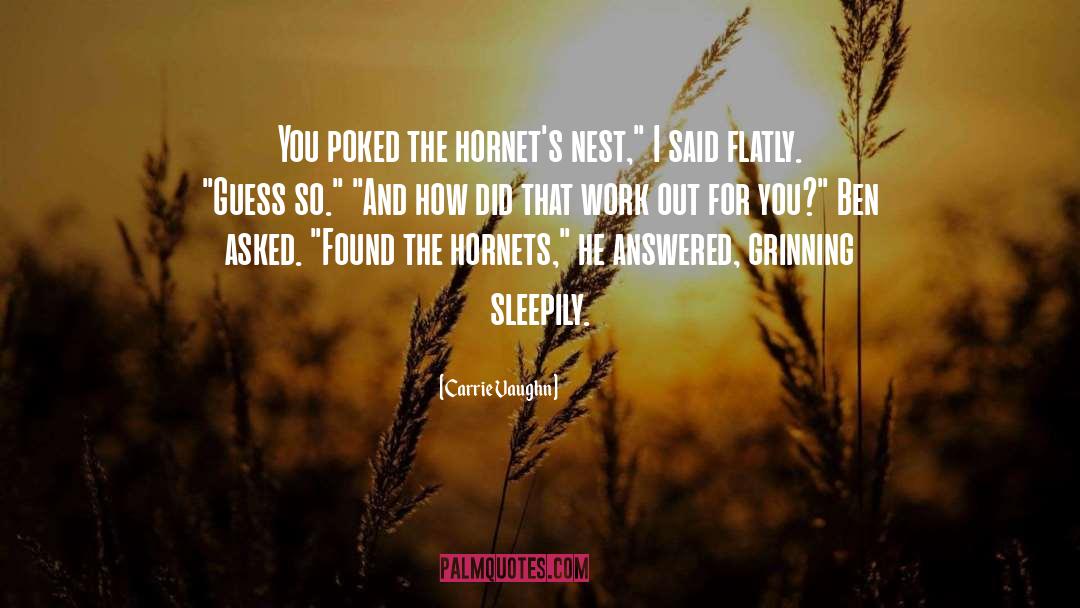 Carrie Vaughn Quotes: You poked the hornet's nest,