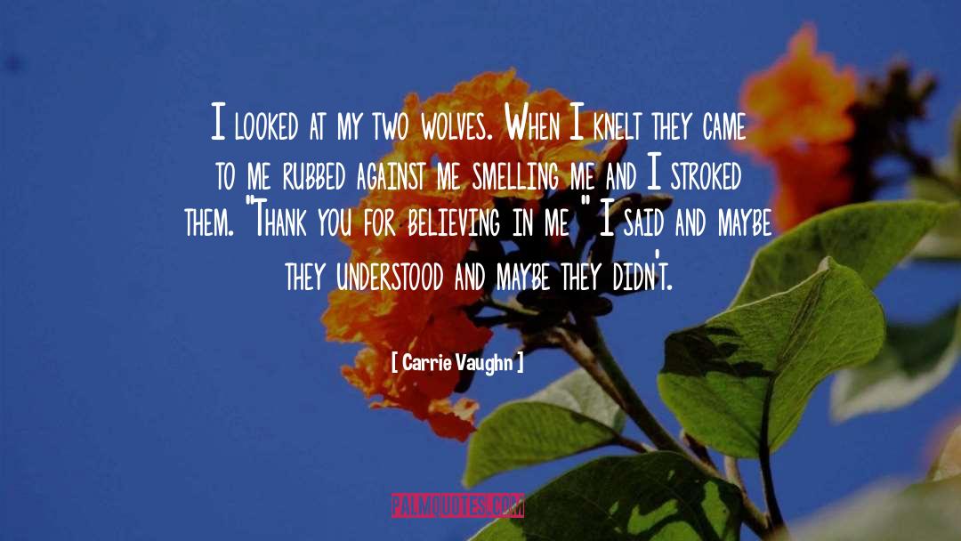 Carrie Vaughn Quotes: I looked at my two