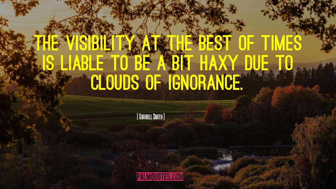 Carroll Smith Quotes: The visibility at the best