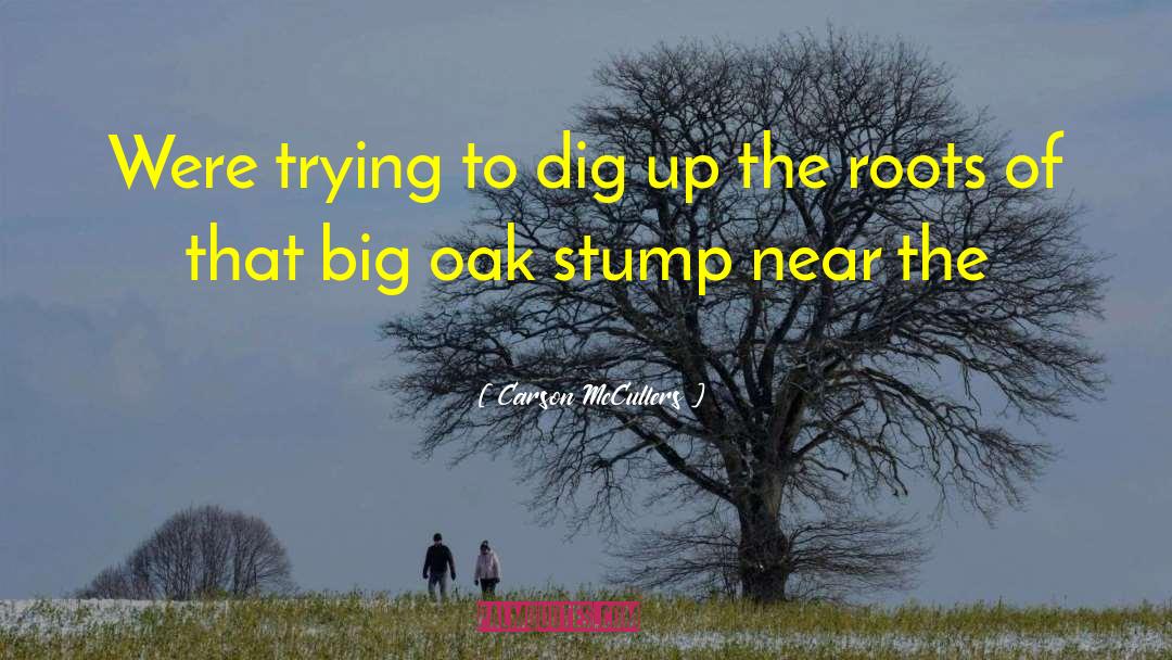 Carson McCullers Quotes: Were trying to dig up