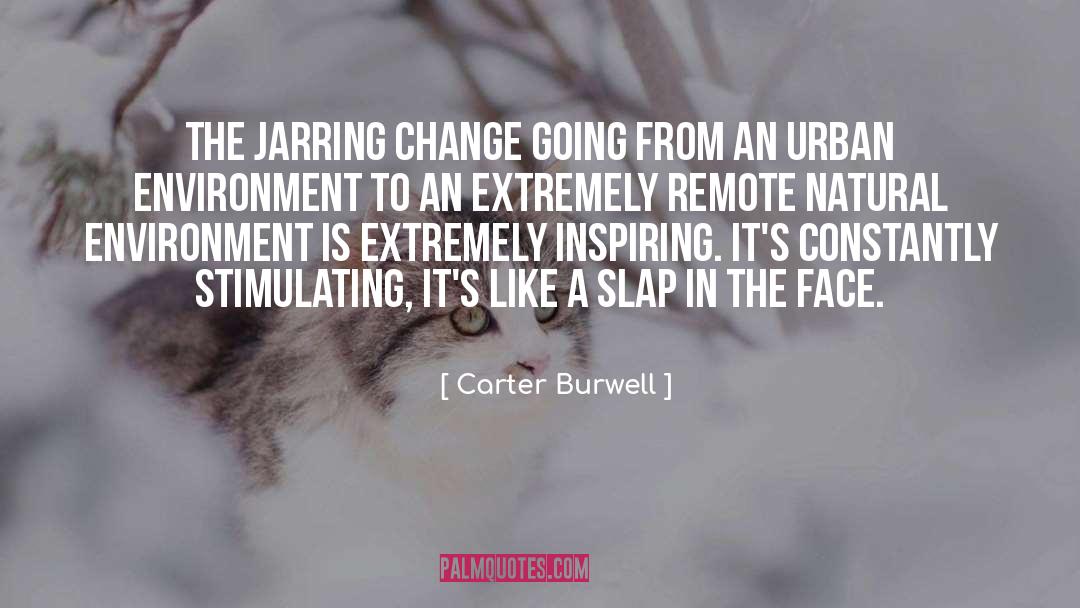 Carter Burwell Quotes: The jarring change going from