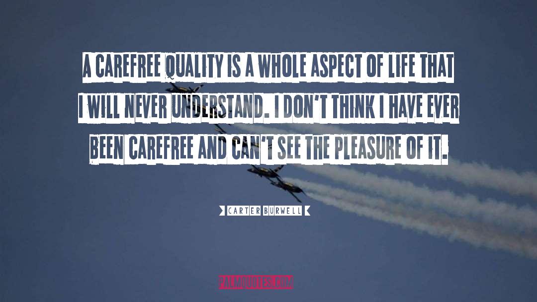 Carter Burwell Quotes: A carefree quality is a