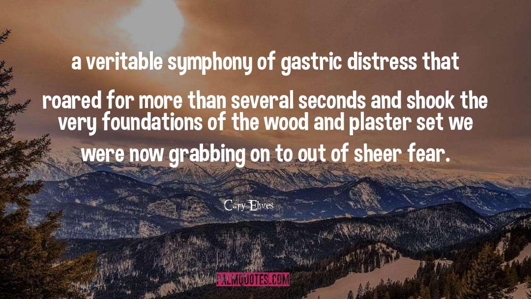 Cary Elwes Quotes: a veritable symphony of gastric