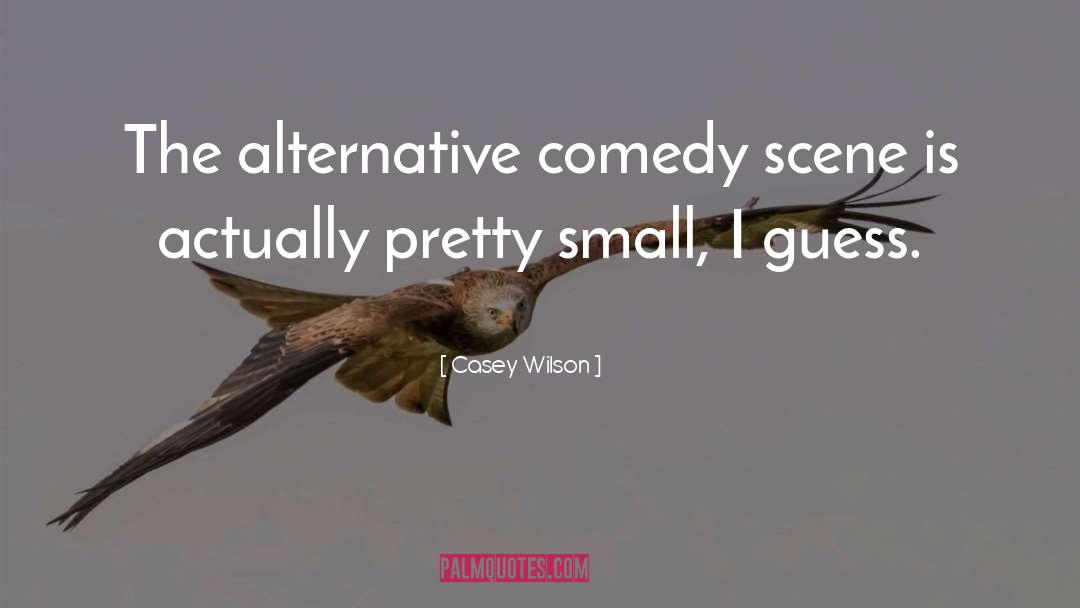 Casey Wilson Quotes: The alternative comedy scene is