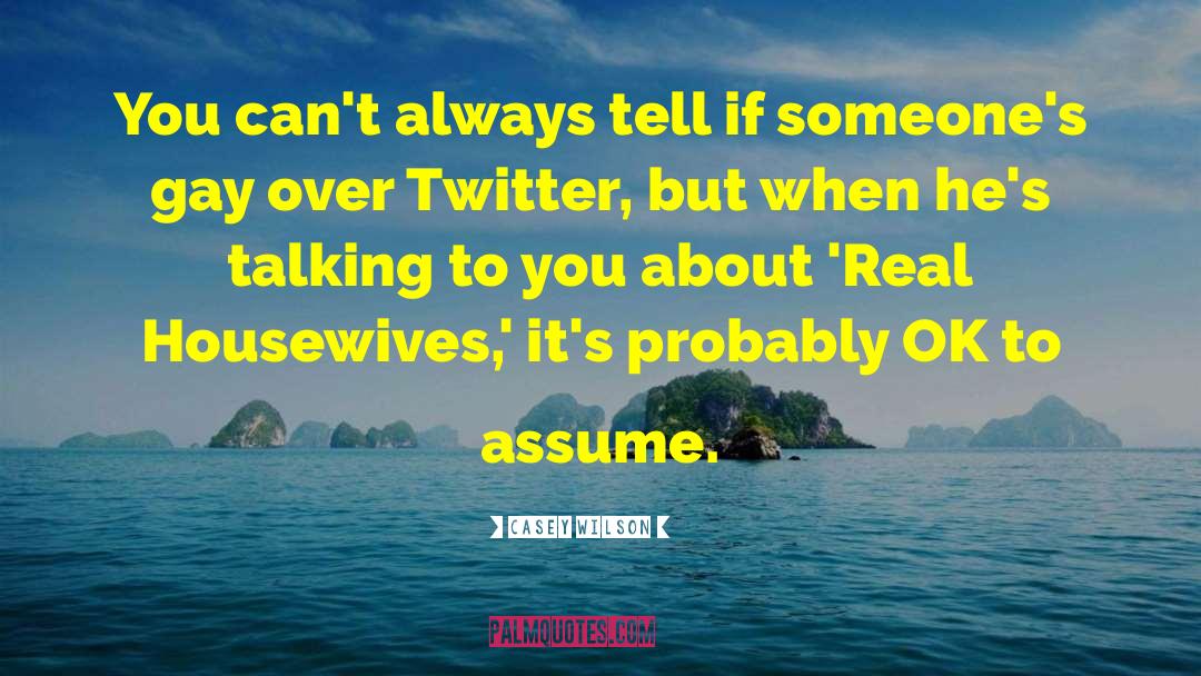 Casey Wilson Quotes: You can't always tell if