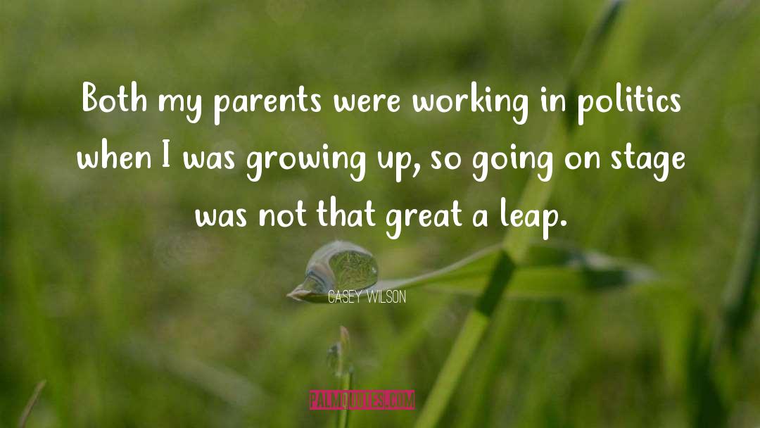 Casey Wilson Quotes: Both my parents were working