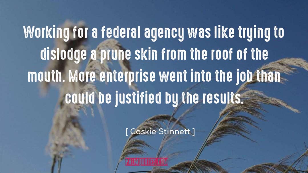 Caskie Stinnett Quotes: Working for a federal agency