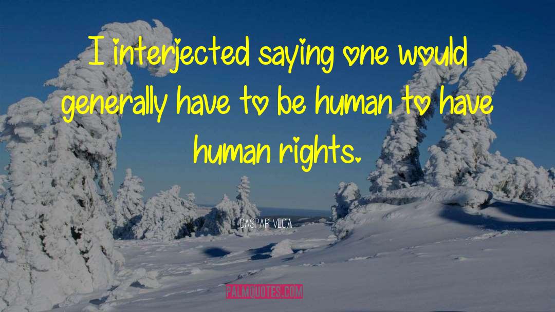 Caspar Vega Quotes: I interjected saying one would