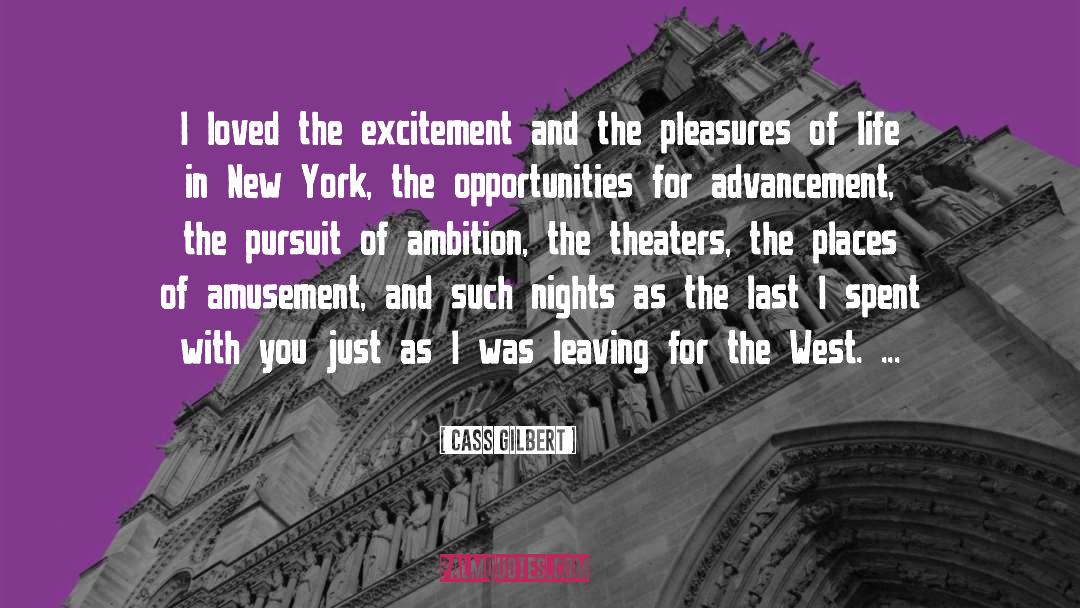 Cass Gilbert Quotes: I loved the excitement and