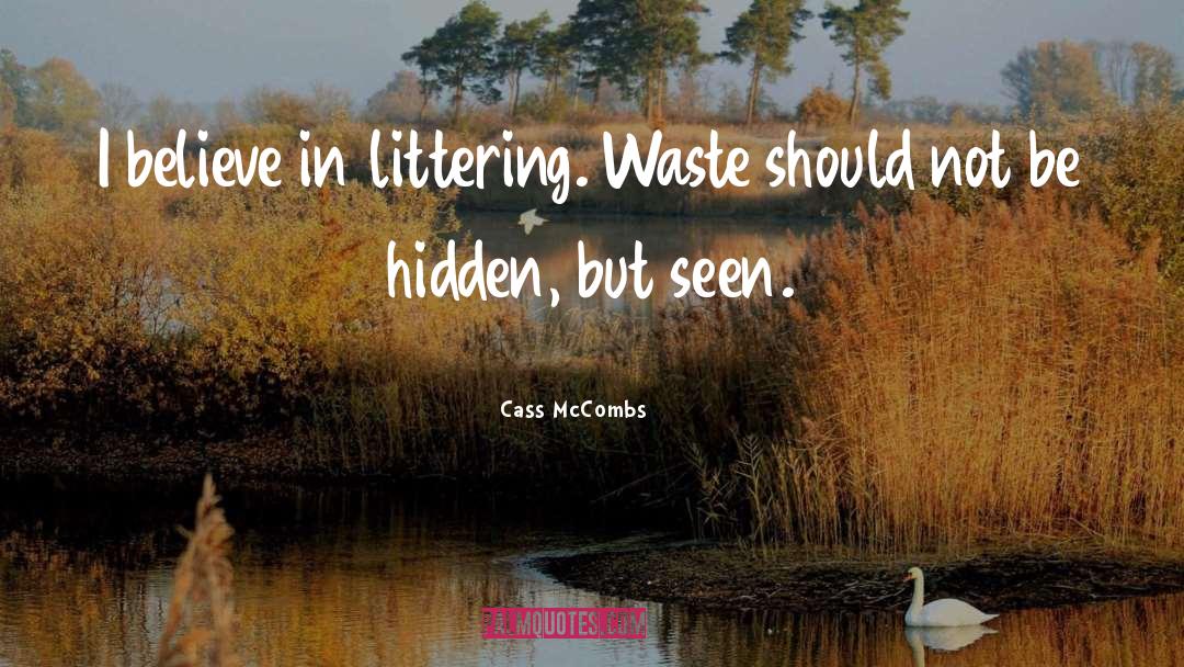 Cass McCombs Quotes: I believe in littering. Waste