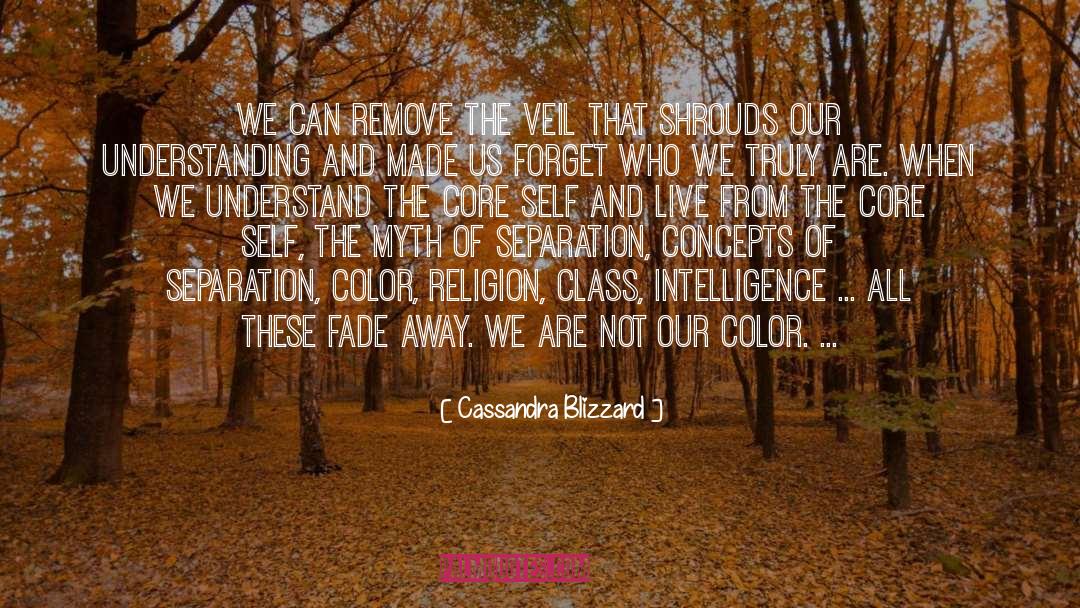 Cassandra Blizzard Quotes: We can remove the veil