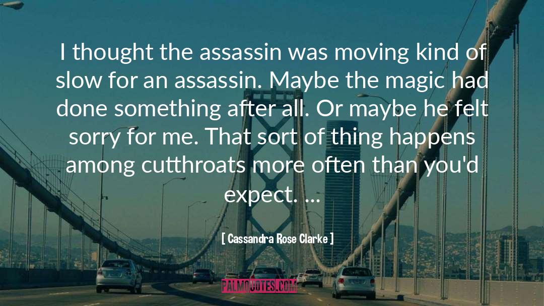 Cassandra Rose Clarke Quotes: I thought the assassin was