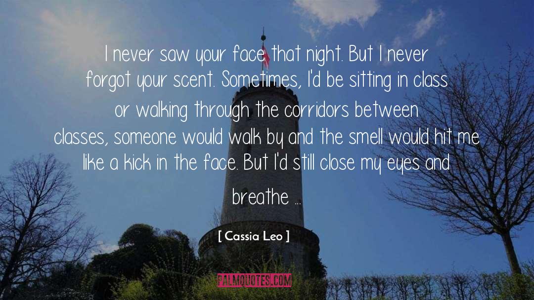 Cassia Leo Quotes: I never saw your face