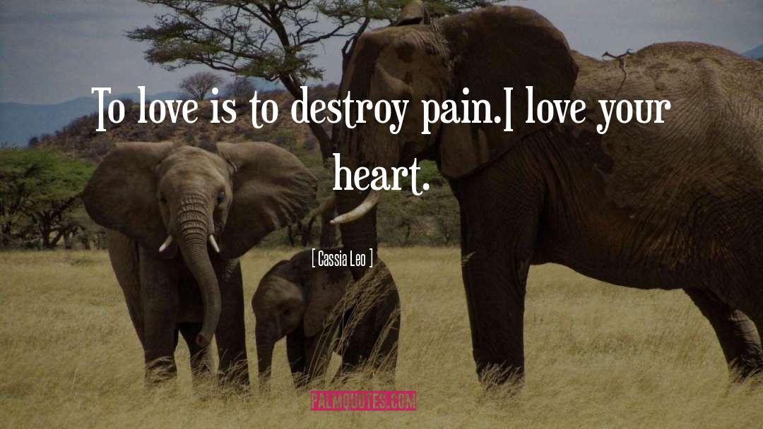 Cassia Leo Quotes: To love is to destroy