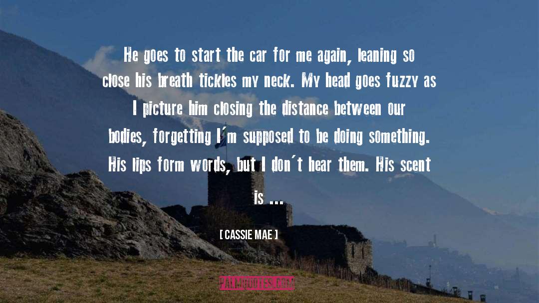 Cassie Mae Quotes: He goes to start the