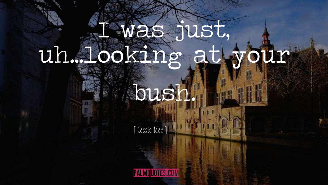 Cassie Mae Quotes: I was just, uh...looking at