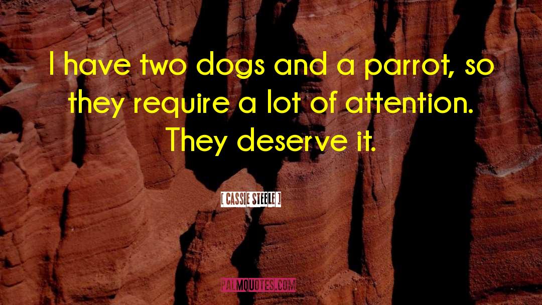 Cassie Steele Quotes: I have two dogs and