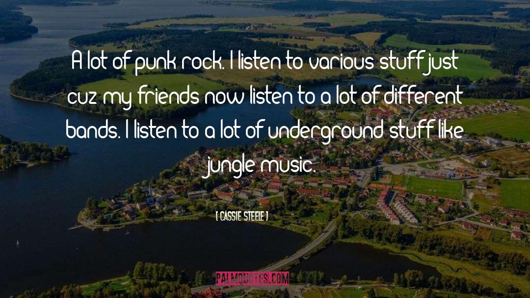 Cassie Steele Quotes: A lot of punk rock.