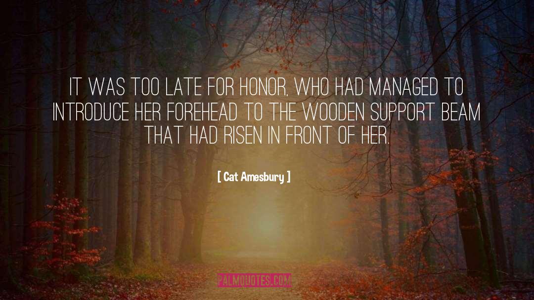 Cat Amesbury Quotes: It was too late for