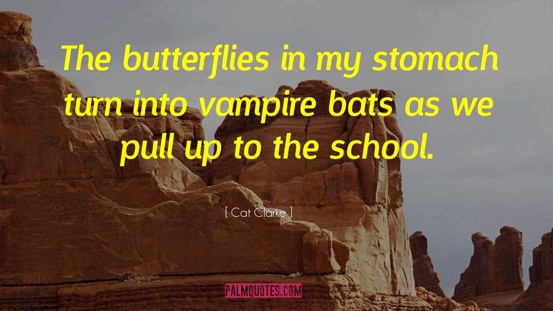 Cat Clarke Quotes: The butterflies in my stomach
