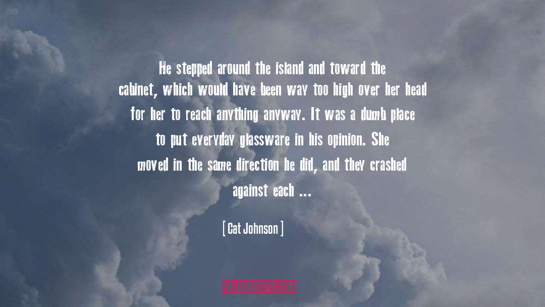 Cat Johnson Quotes: He stepped around the island