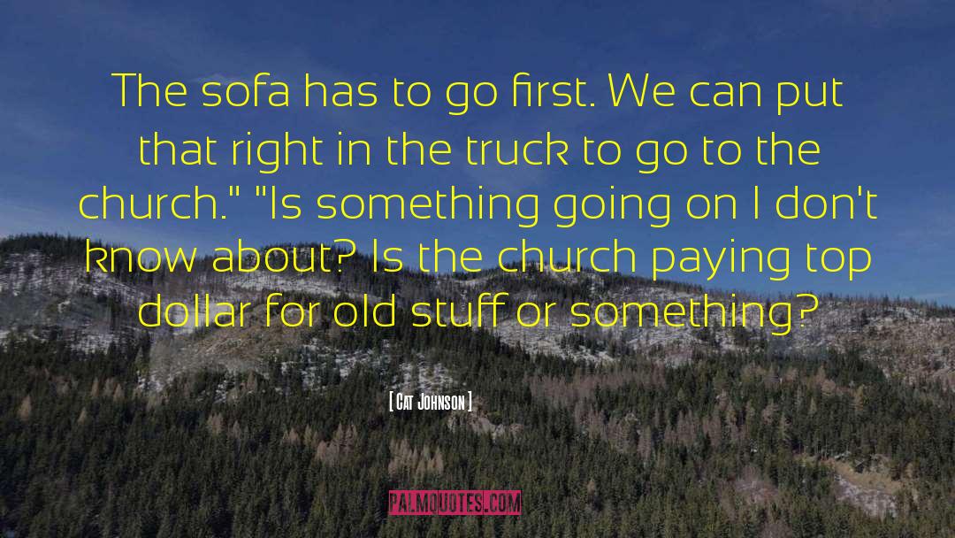 Cat Johnson Quotes: The sofa has to go