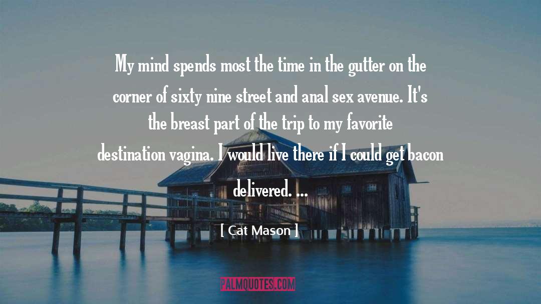 Cat Mason Quotes: My mind spends most the