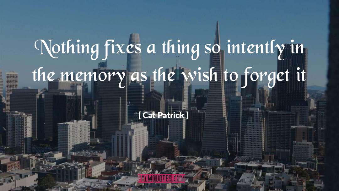 Cat Patrick Quotes: Nothing fixes a thing so