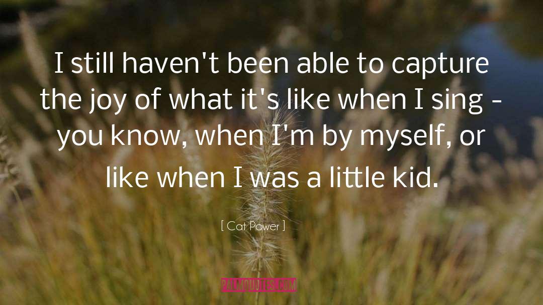 Cat Power Quotes: I still haven't been able
