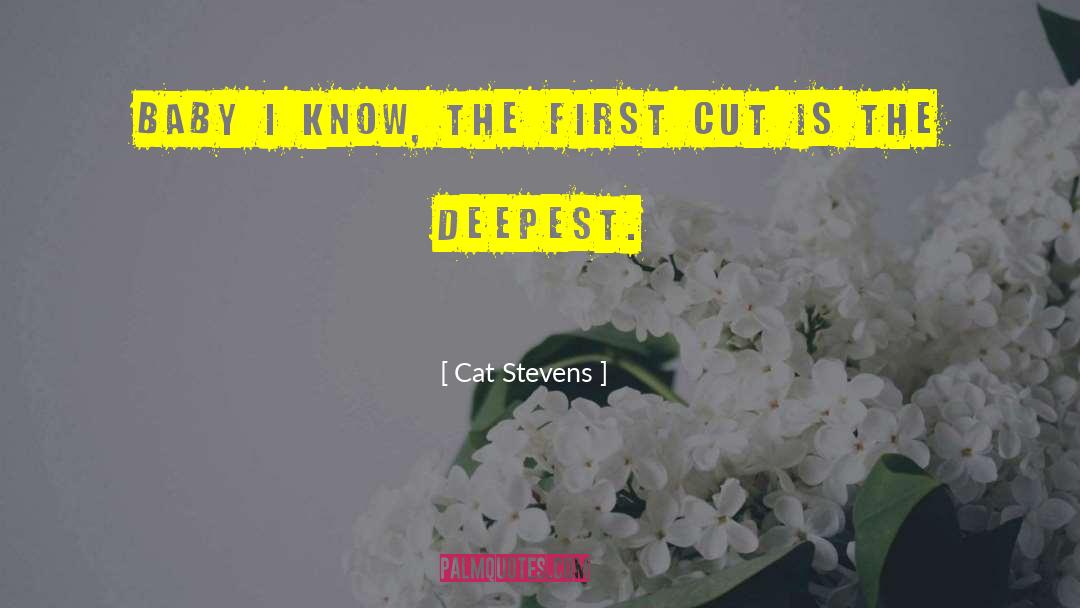 Cat Stevens Quotes: Baby I know, the first