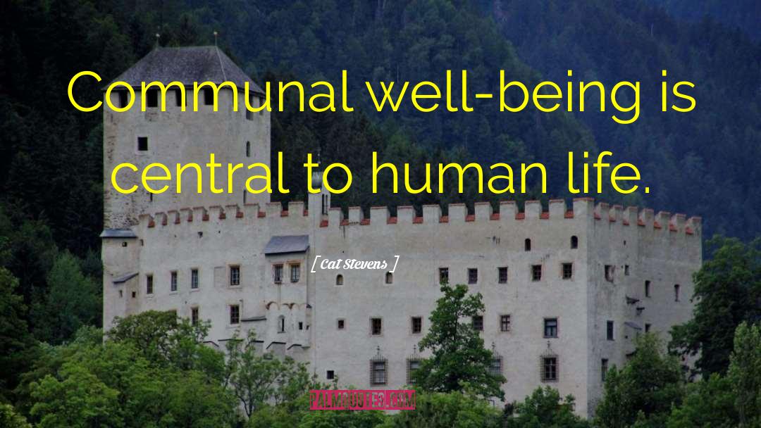 Cat Stevens Quotes: Communal well-being is central to