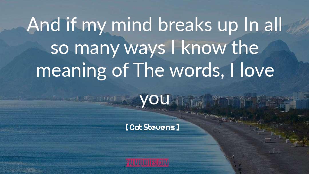 Cat Stevens Quotes: And if my mind breaks