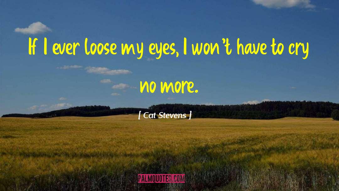 Cat Stevens Quotes: If I ever loose my