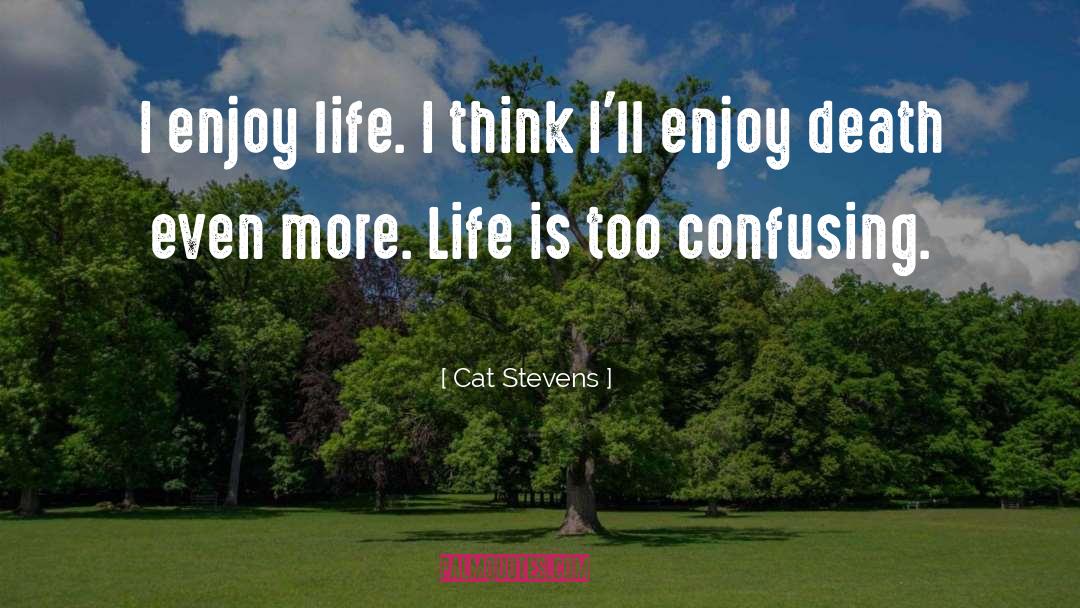 Cat Stevens Quotes: I enjoy life. I think