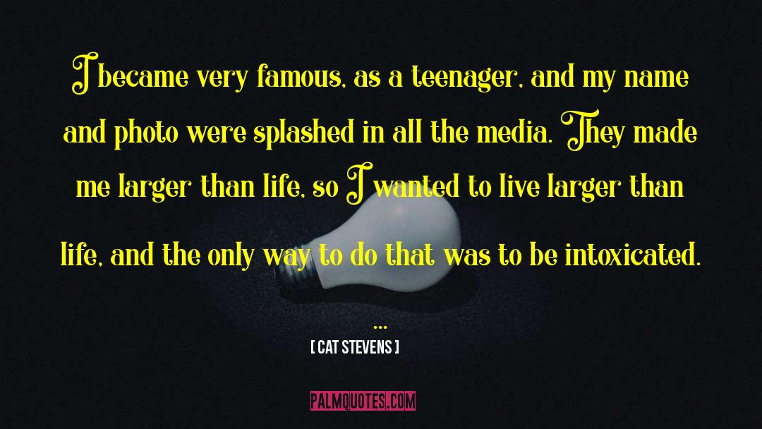 Cat Stevens Quotes: I became very famous, as