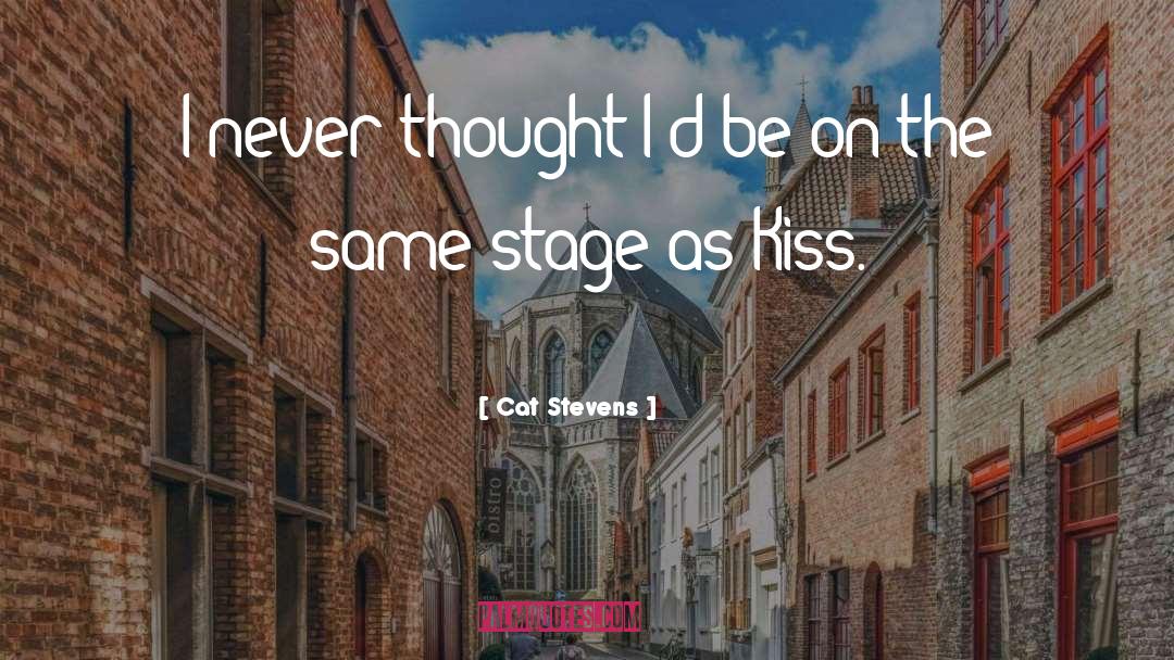Cat Stevens Quotes: I never thought I'd be