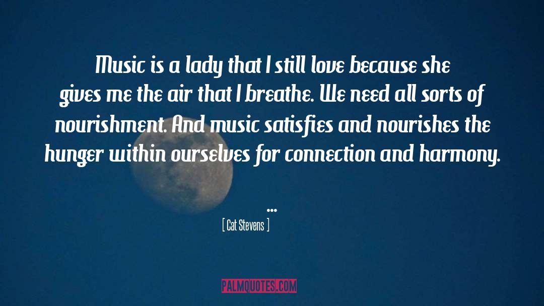 Cat Stevens Quotes: Music is a lady that