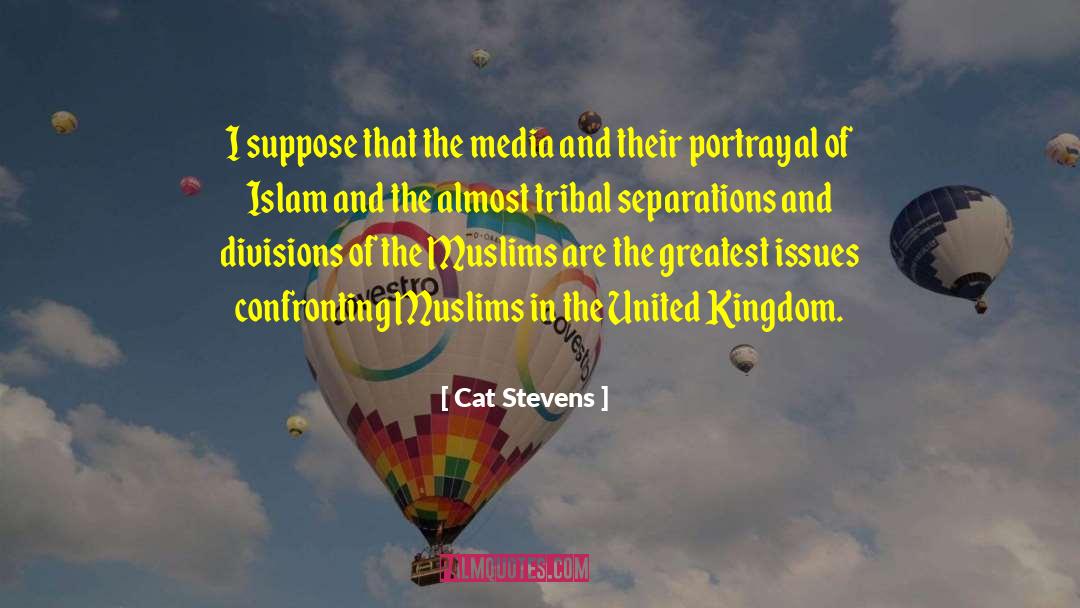 Cat Stevens Quotes: I suppose that the media