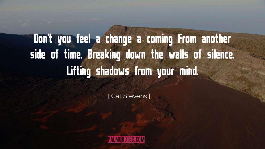 Cat Stevens Quotes: Don't you feel a change