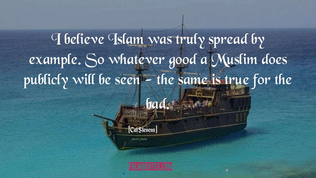 Cat Stevens Quotes: I believe Islam was truly