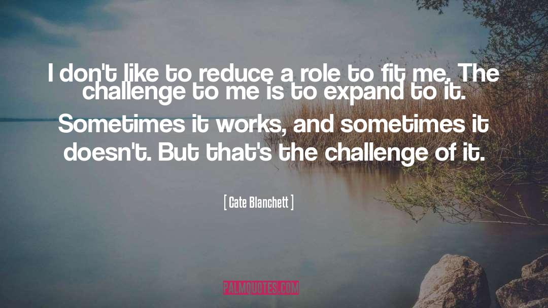 Cate Blanchett Quotes: I don't like to reduce