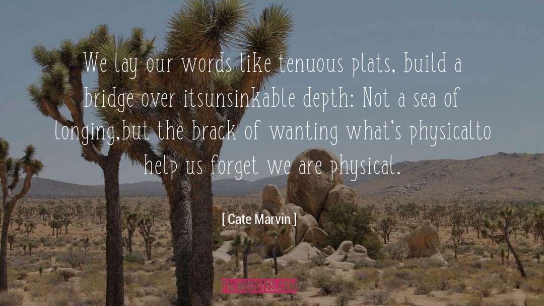 Cate Marvin Quotes: We lay our words like
