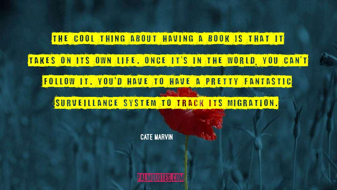 Cate Marvin Quotes: The cool thing about having
