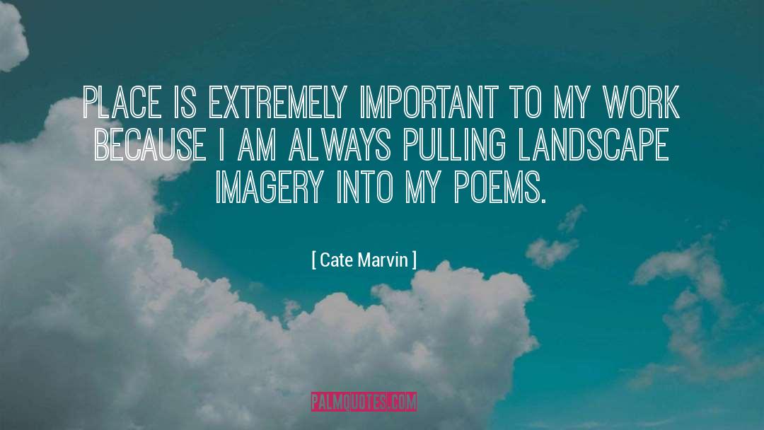 Cate Marvin Quotes: Place is extremely important to